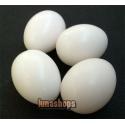 5PCS BIRD PIGEON PLASTIC DUMMY EGGS CAGES REPLACEMENT manufacturers china