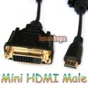 Mini HDMI Male to DV...