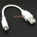 17cm USB A Male to M...