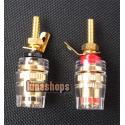 Short HiFi Golden Pl...