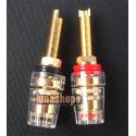 Long HiFi Golden Pla...