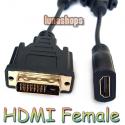 HDMI Female to DVI 2...
